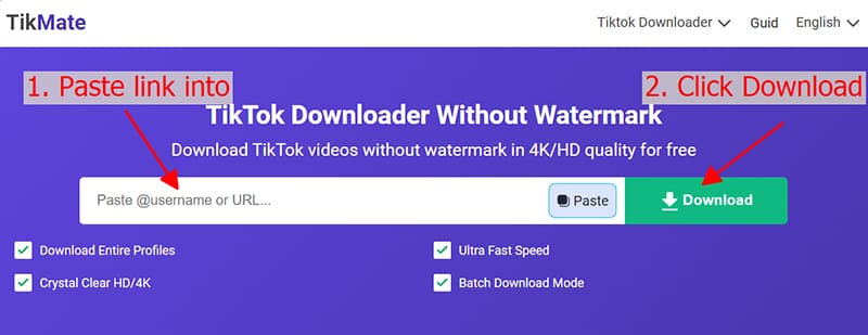 paste tiktok url into tikmate