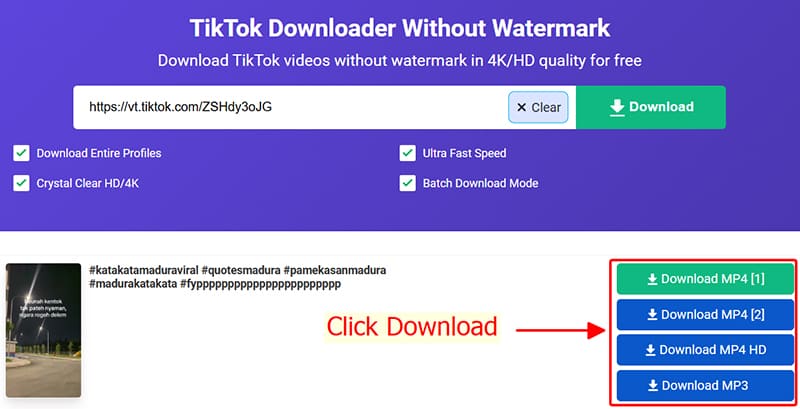 save tiktok videos by tikmate