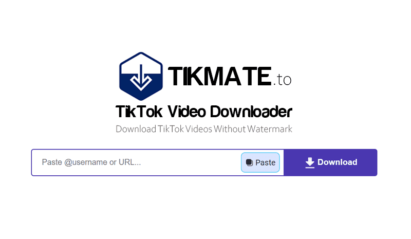 Tiktok Video Downloader